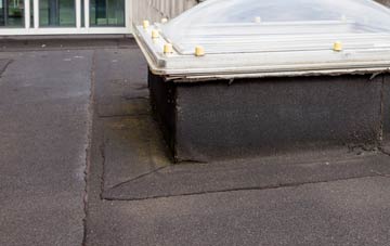 disadvantages of Eilean Duirinnis flat roofs