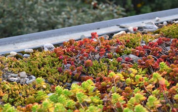 the cost of Eilean Duirinnis green roof installation