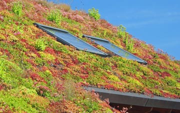 Eilean Duirinnis living roof systems